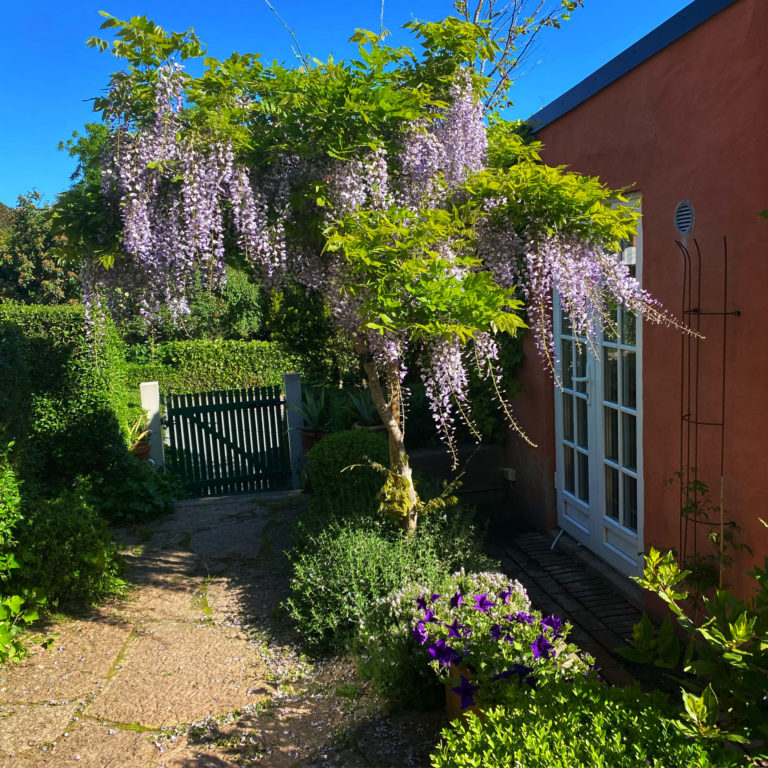 Peters Englanders trädgård