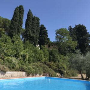 Peter Englander Föredömliga planteringar runt pool i Toscana
