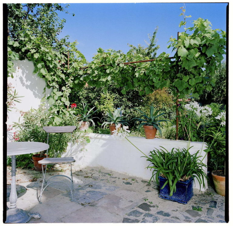 Orangeri Villa Prästgatan 020808-Låg-mur