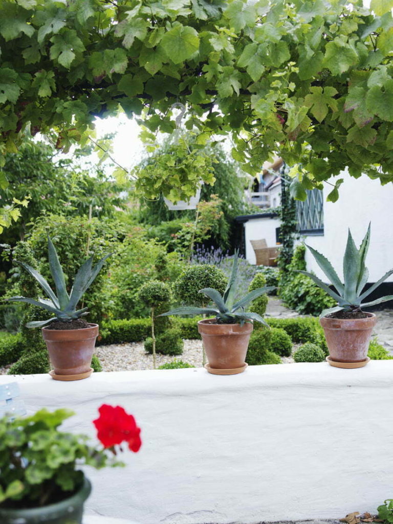 Orangeri Villa Prästgatan 080820-0022